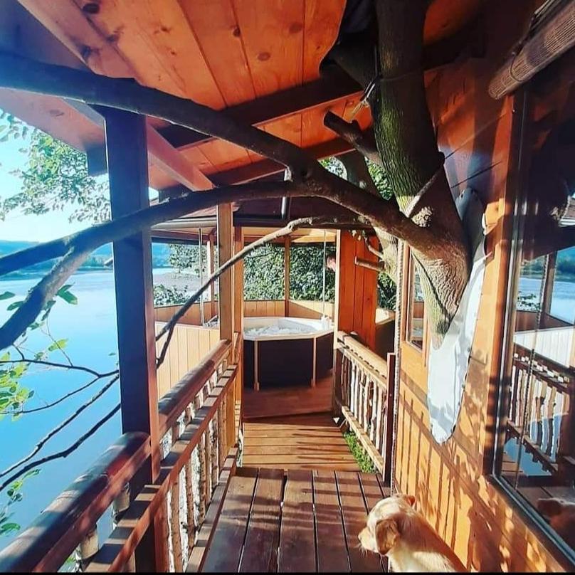 Holiday Home Kucica Na Drvetu Баня-Ковиляча Екстер'єр фото